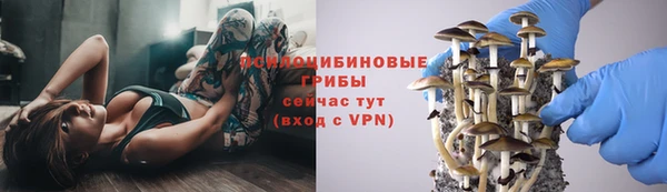не бодяженный Гусиноозёрск