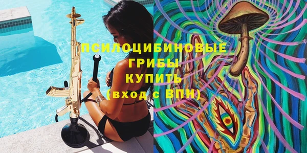 не бодяженный Гусиноозёрск